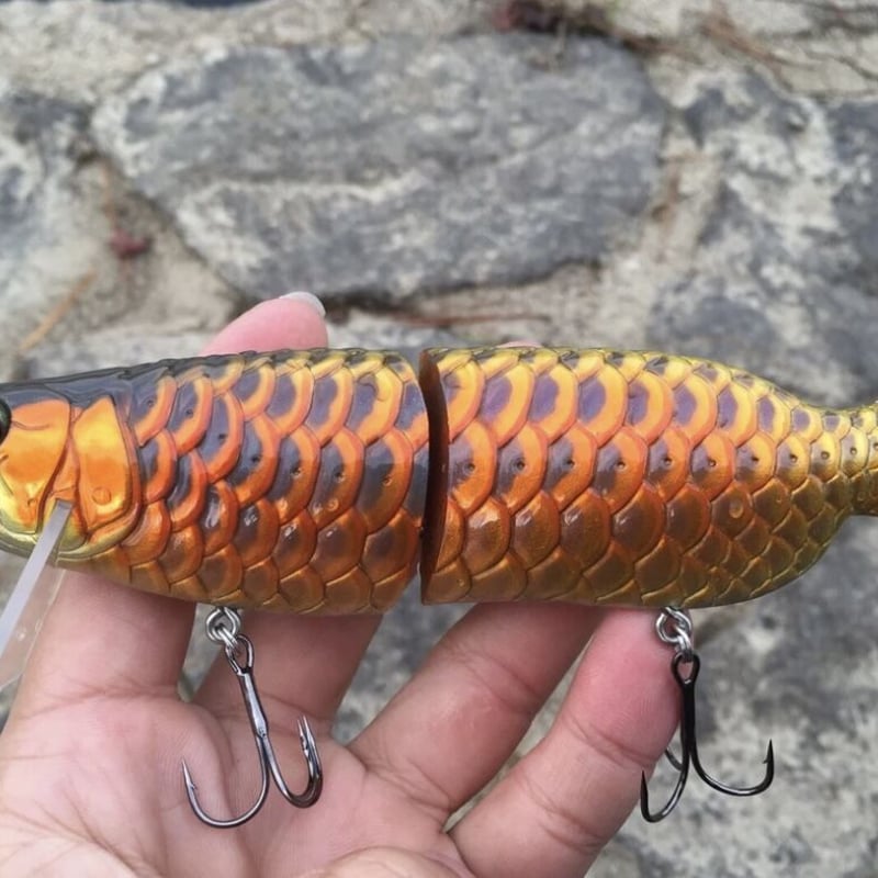 AROWANA（アロワナ） | soradesign