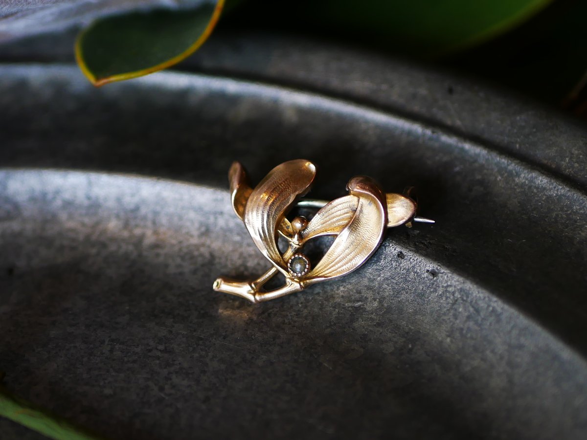 fit=scale-down,w=1200