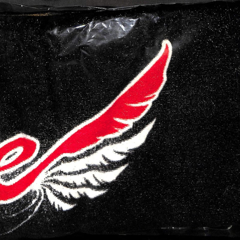 長渕剛☆NEVER CHANGE LIVEグッズ 長渕剛☆NEVER