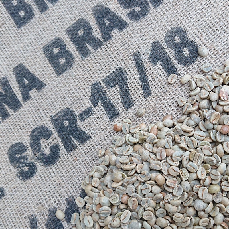 ブラジル サントス No.2 17/18（コーヒー生豆） 10kg | モンデンコーヒー