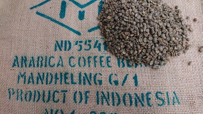 値下げOK 生豆 マンデリン プロアドミール 10kg コーヒー 珈琲生豆