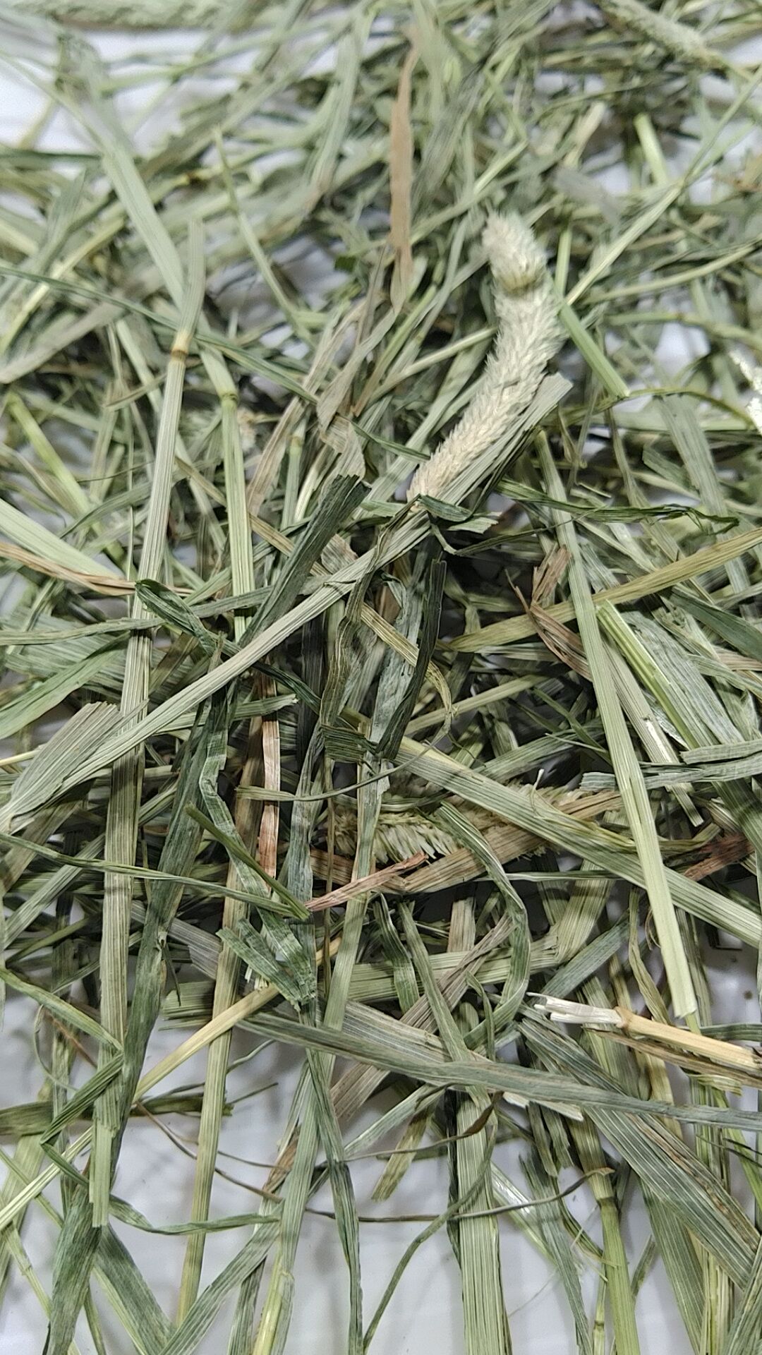 US産チモシー ダブルプレス 2番刈り（100g） | うりんこファーム