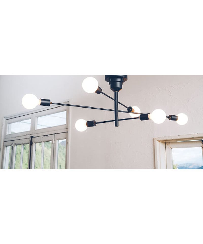 INTERFORM INC. インタ－フォルム シーリングライト 照明 6灯 ブラック