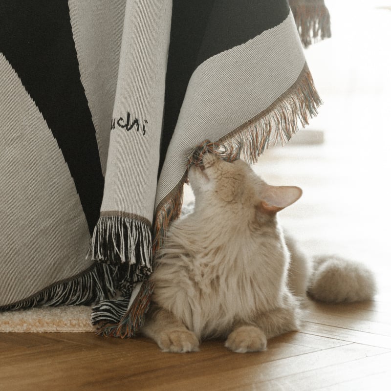 HUMAN MADE BLANKET TOWEL ブランケットタオル BLACK