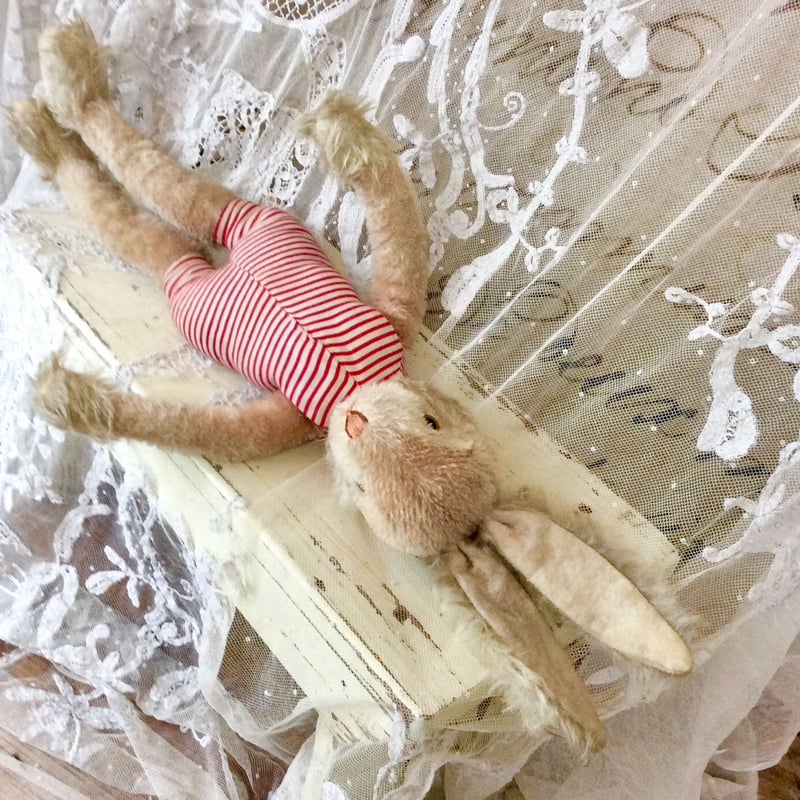 シュコー社 bigobelloシリーズ ウサギ | sputnikplus online shop