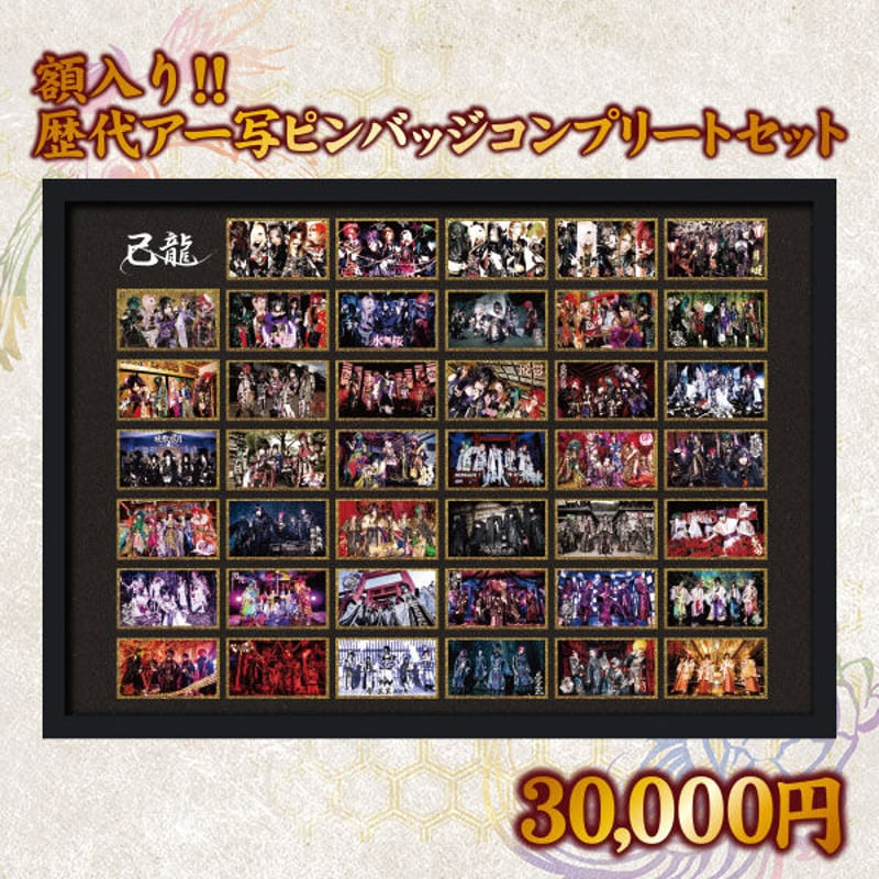 己龍マイドラゴンチェキ