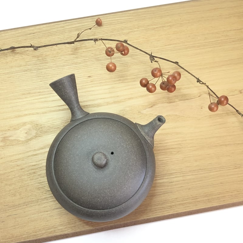 水野博司 Hiroshi Mizuno 焼き締め 大平丸急須 ST0144 | TOKONAM