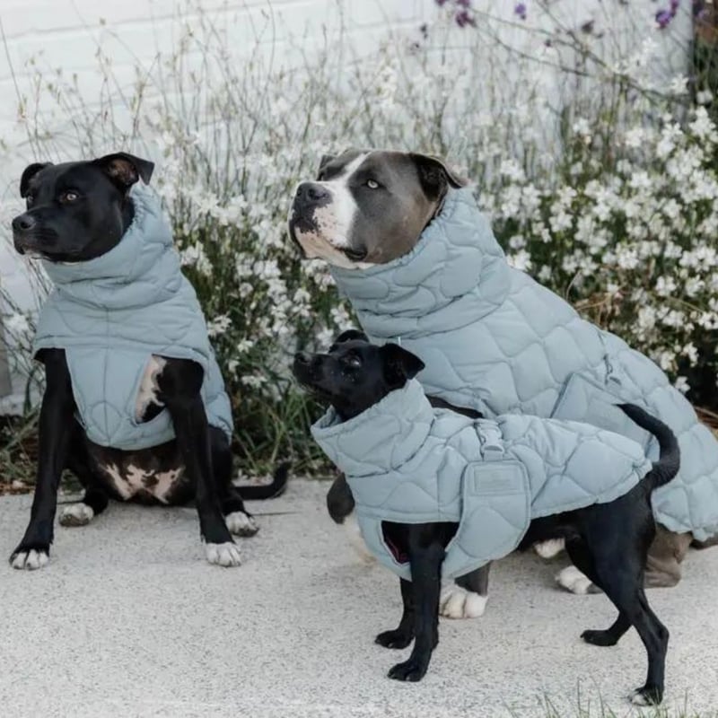 CATEGORY Kentucky Dogwear | モフモフ mof_mof｜北欧デザイン