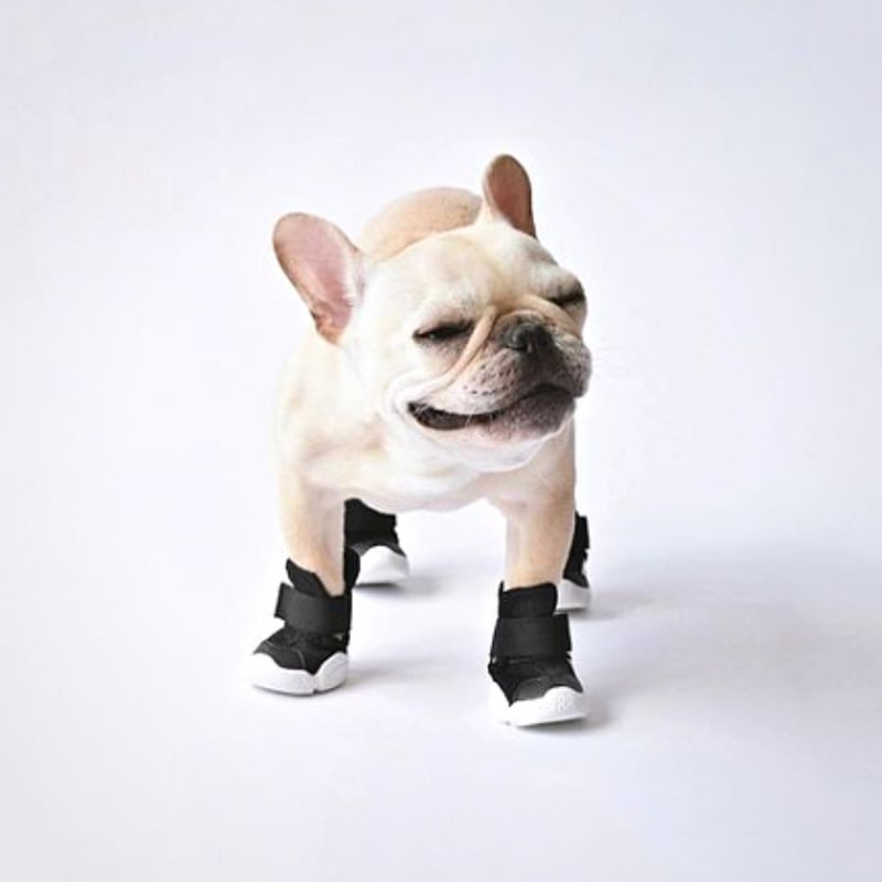 RIFRUF] ドッグスニーカー 左右2個セット (前後のサイズが違う場合用