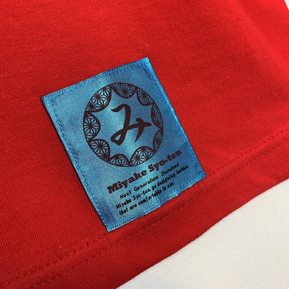 RIZE 家紋 LogoTee Tシャツ 2XL 新品未開封 グッズ KenKen・NEWグッズ