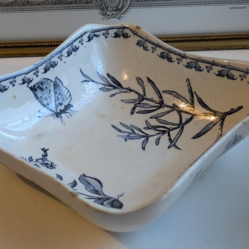 サルグミンヌカルメンボウル