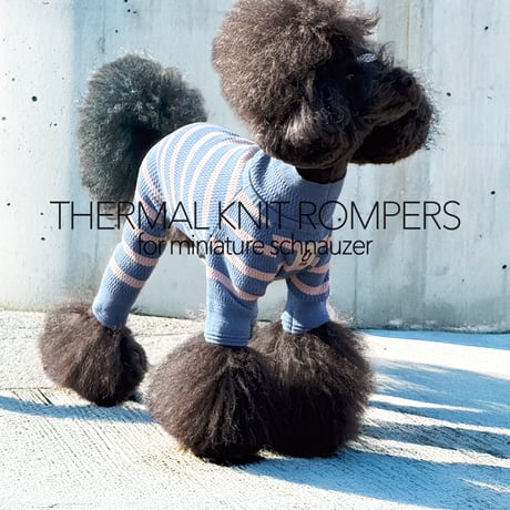 CATEGORY ロンパース | USHH_Italiangreyhound