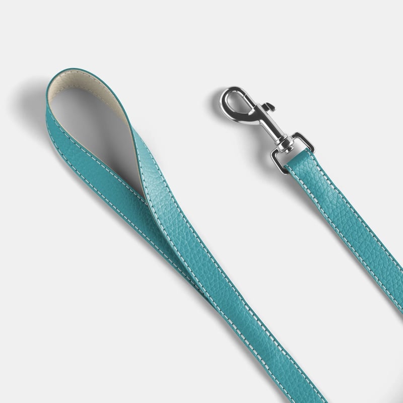 BREIZH ドッグ レザーリード （ティファニーブルーカラー