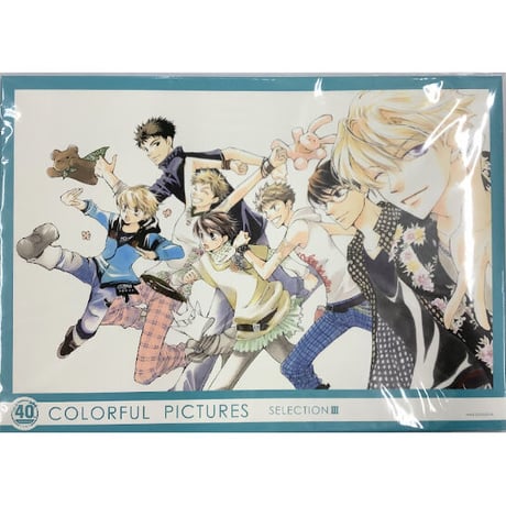 ヴァンパイア騎士 ポスター 初版 樋野まつり イラストレーションズ