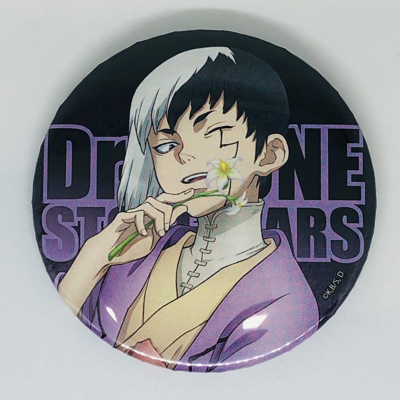 Dr.STONE dvd購入特典 アニメイト 缶バッチ 浅霧幻 石神千空 Dr.STONE