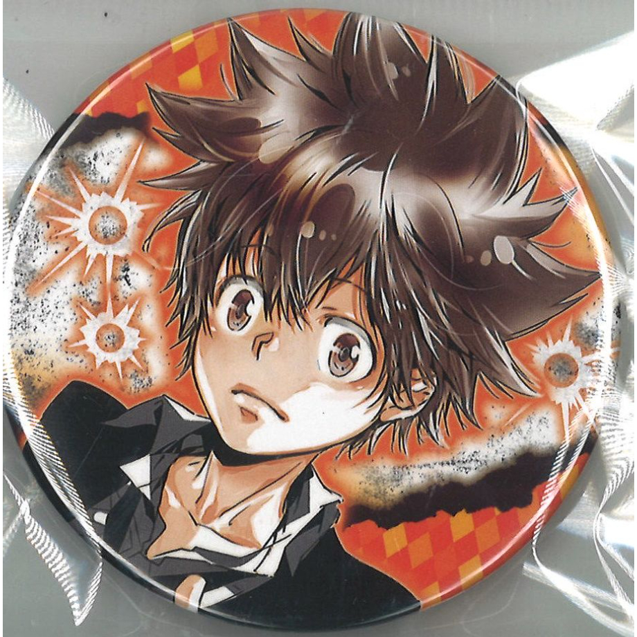 沢田綱吉 スクエア缶マグネット 10点 沢田綱吉 スクエア缶マグネット