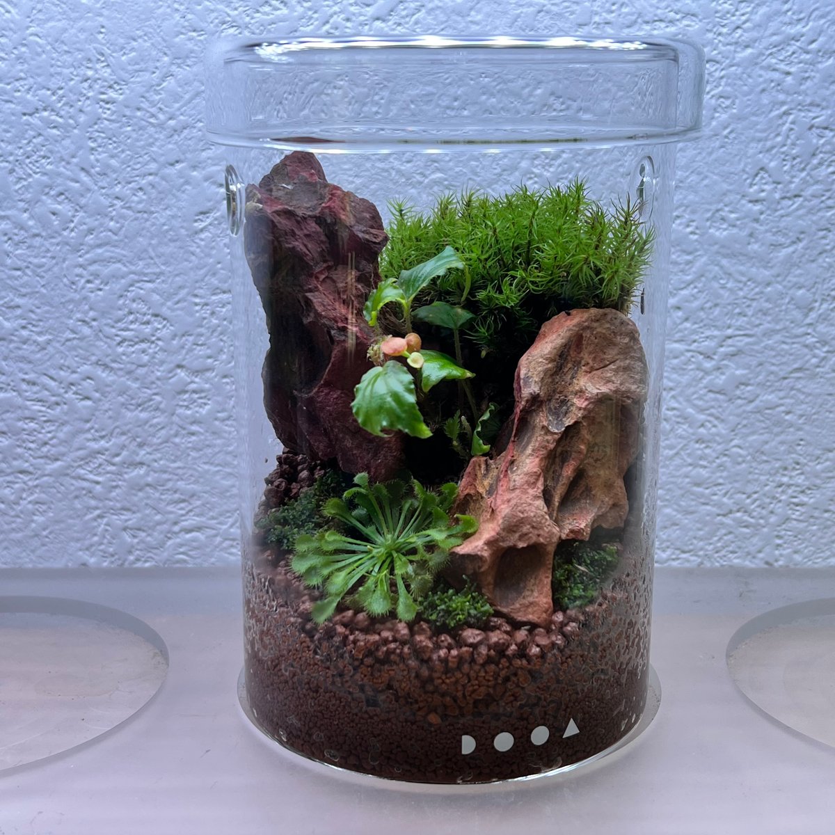 ガラスポットMARU95レイアウト(1) | MaCO frog design