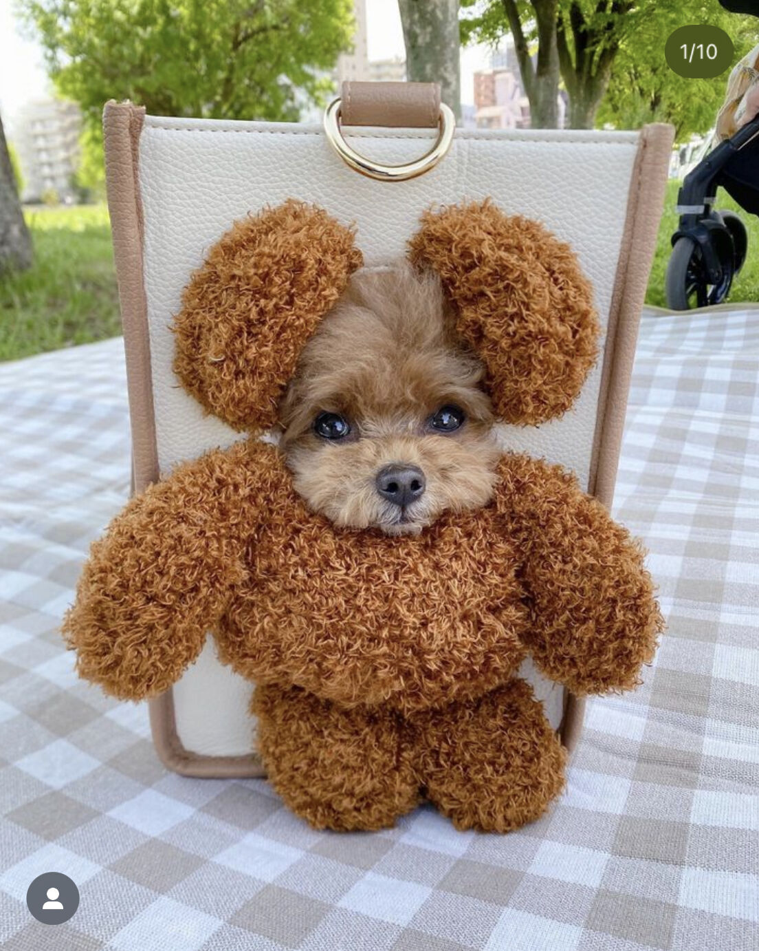 Hunny Couture 顔出しぬいぐるみ キャリーバッグ