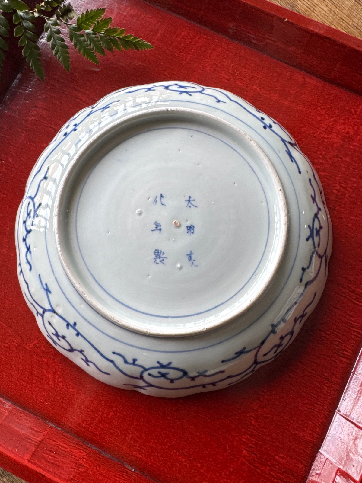 古伊万里 染付微塵唐草文 輪花七寸皿 1枚 | Kaikaroman ONLINE STORE