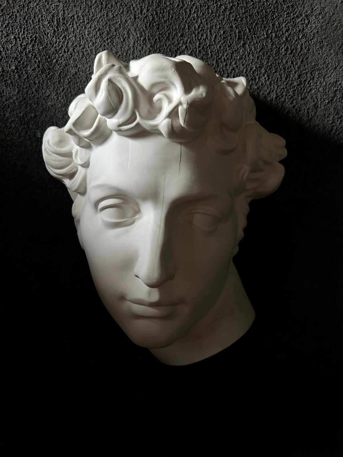 石膏胸像 / ギリシャ神話風 / クラシック 美術像 / 彫刻 装飾