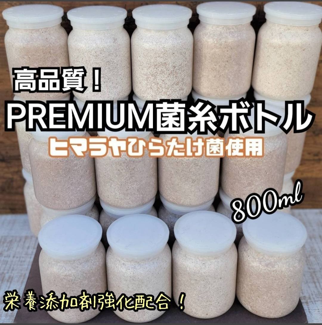 極上！ヒマラヤひらたけ菌糸瓶 800ml【4本セット】ニジイロクワガタに