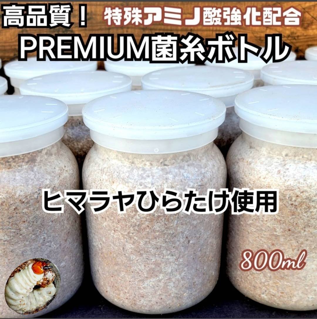 極上！ヒマラヤひらたけ菌糸瓶 800ml【4本セット】ニジイロクワガタに