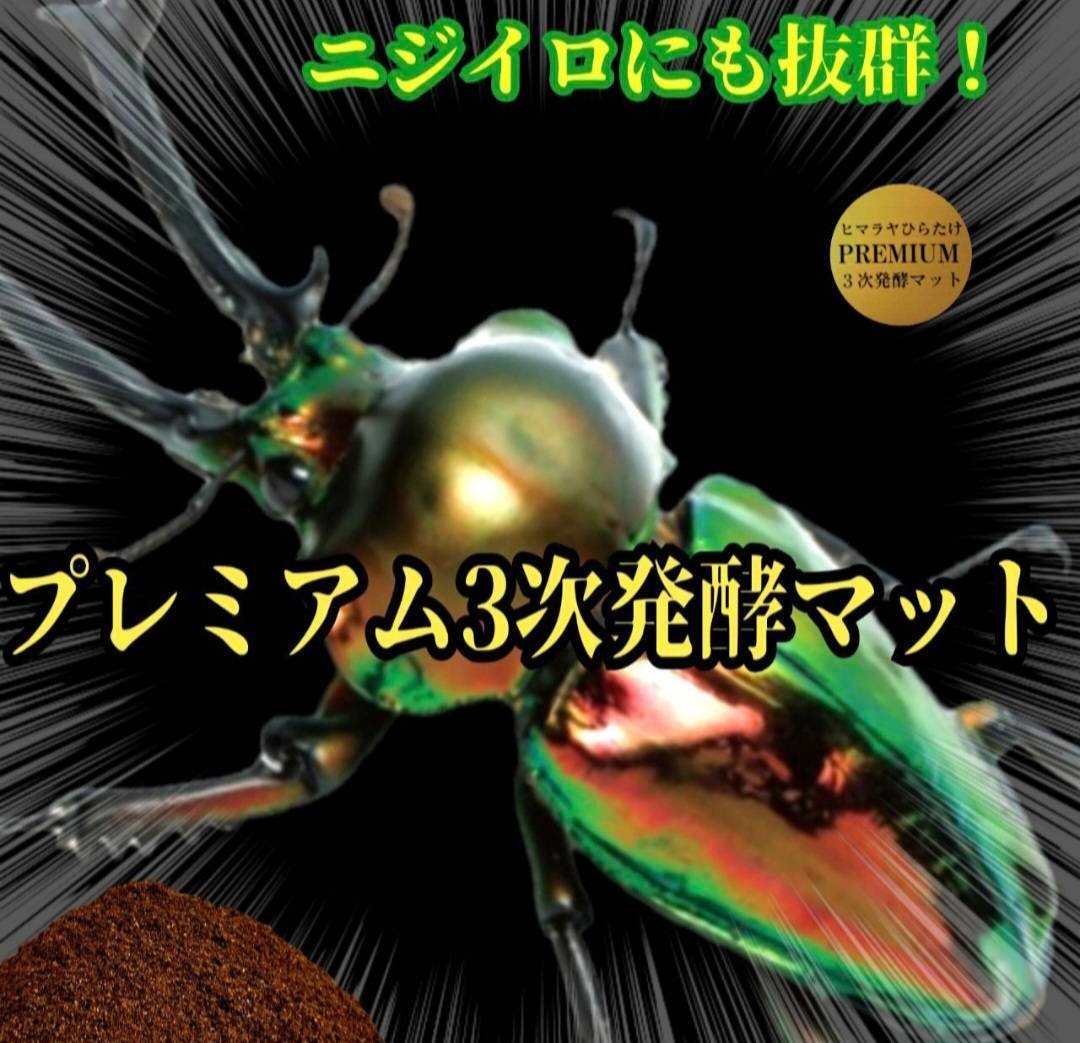ミヤマクワガタ、ノコギリ幼虫に抜群！800mlボトル入プレミアム発酵
