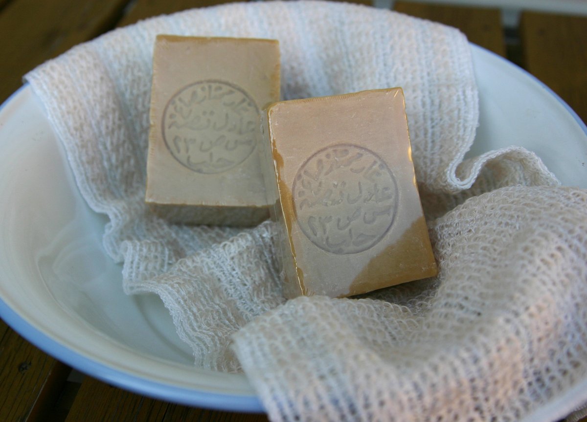 アレッポの石鹸職人ー公式 ☆アレッポの石鹸「ノーマル」 &KIVIボディ
