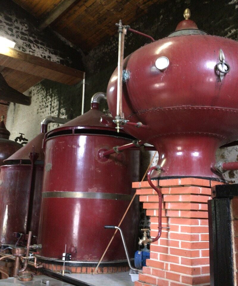 Cognac DROUET Lot ♯1960 Demijohn pour BAR DORAS