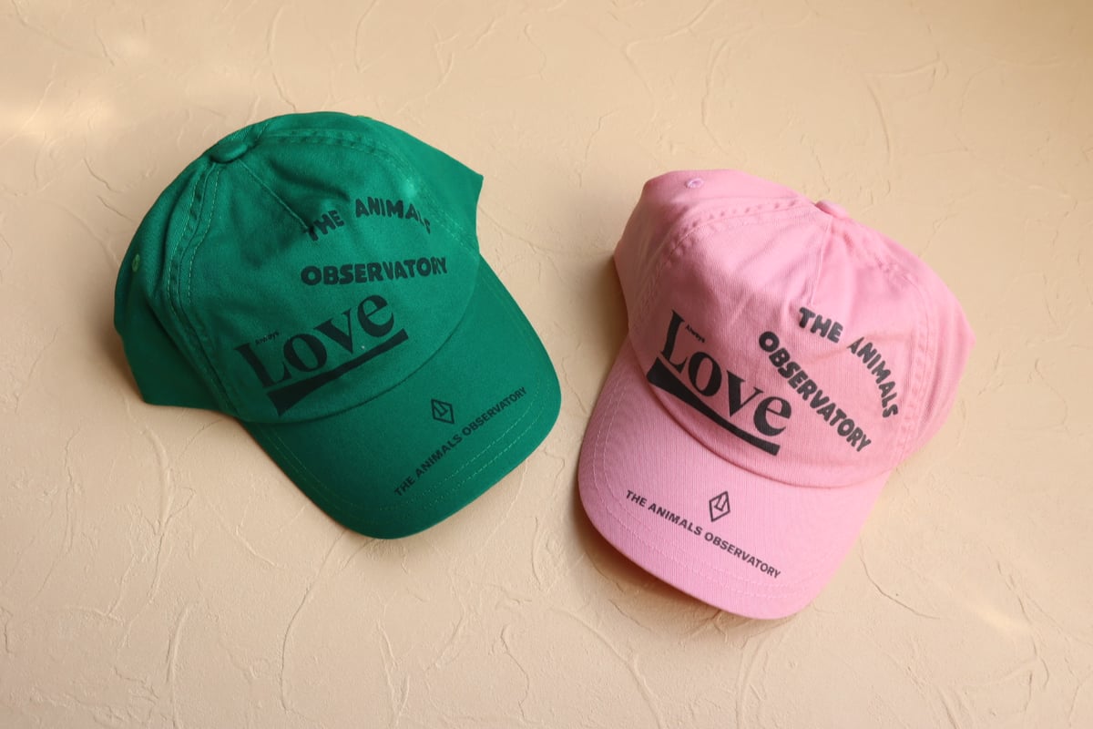 The Animals Observatory]【残りわずか！】HAMSTER KID CA