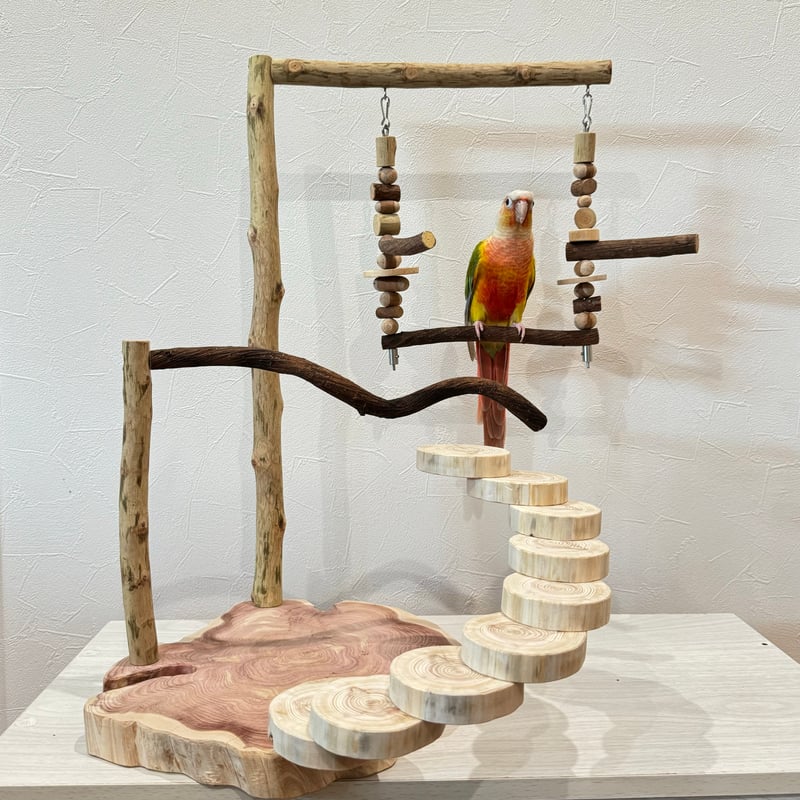 バードアスレチック55 高いとこから 白樺 バードトイ 螺旋階段とハイジ