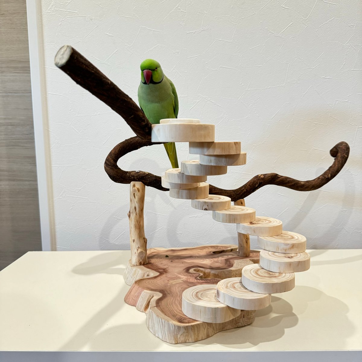 ハンドメイド 流木 バードジム バードアスレチック 流木インテリア ①