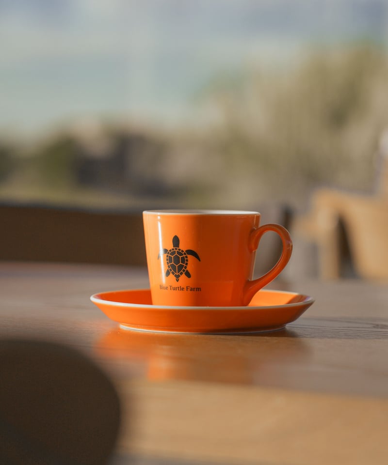 Blue Turtle Farm オリジナルカップ＆ソーサーSET 鮮やかオレンジ | Blu