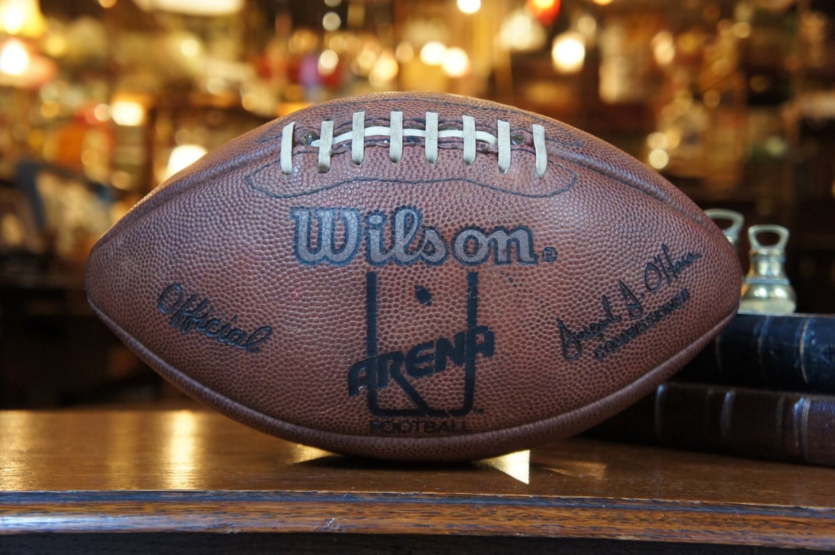wilson ウィルソン アメフト本革ボール 本物