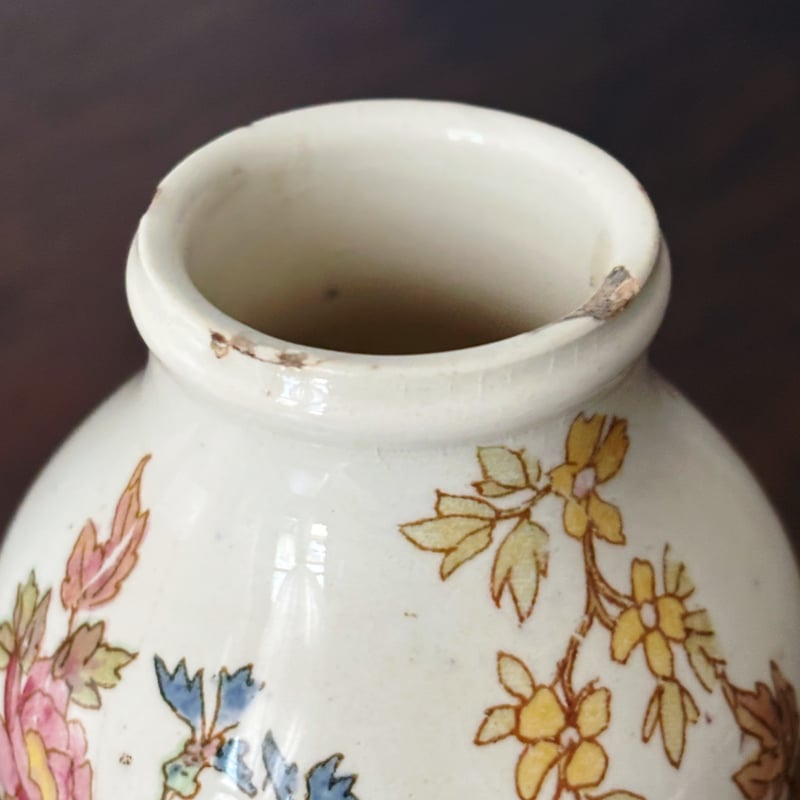 フランスアンティーク サルグミンヌ アルザス テリーヌポット