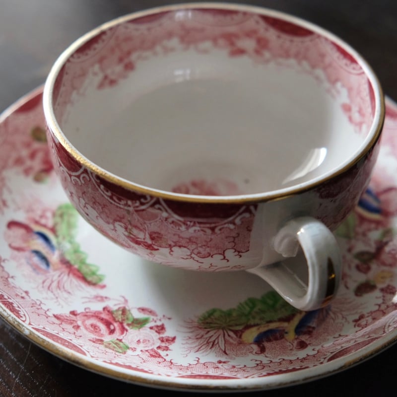 SARREGUEMINES サルグミンヌ カップ アンド ソーサー 雉 フランス