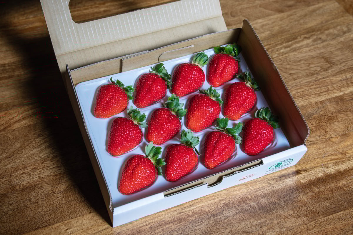 ♡いちご様確認用♡ いちご様 確認用 いちご様 確認用 5点