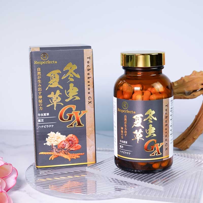 冬虫夏草GXサプリ | KuuShop