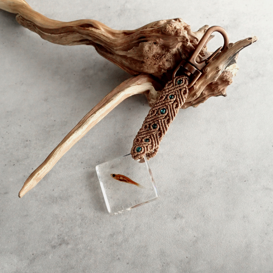 魚類樹脂封入標本キーホルダー | Atelier BIOTA
