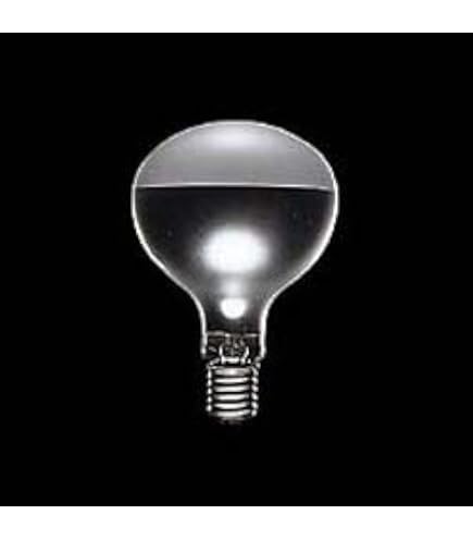 Amazon | 岩崎電気 アイ セルフバラスト水銀ランプ BHRF100/110V160WH