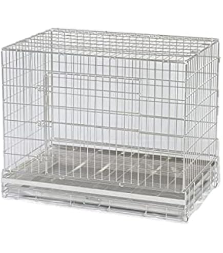 Amazon | 市瀬 ハチコウステンレスケージ SSL-SOP | 市瀬 | 飼育ケージ