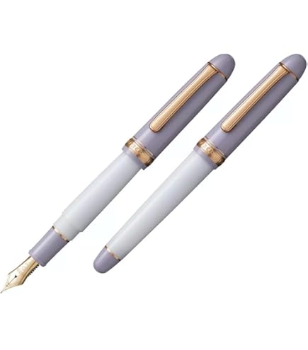 Amazon | PLATINUM プラチナ万年筆 #3776 センチュリー ニース PNB