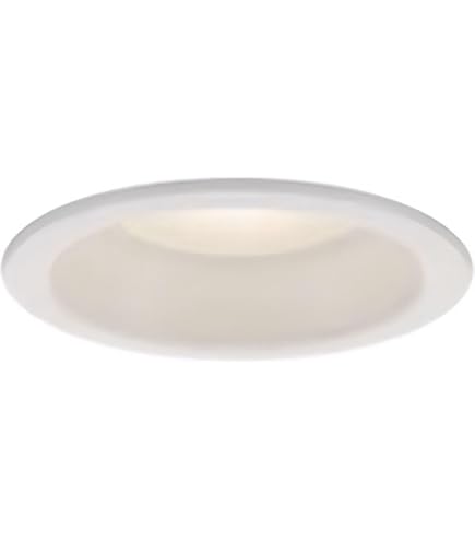 Amazon.co.jp: 大光電機（DAIKO） ダウンライト(軒下兼用) LED