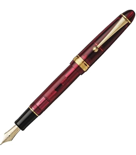 Amazon | PILOT万年筆 カスタム742 ペン種：14K 10号 SB／軸色