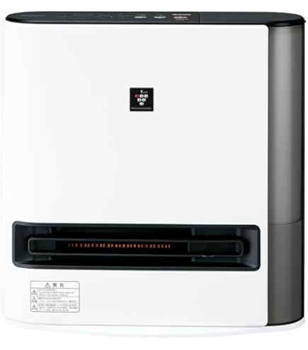 Amazon | Dyson AM05 Hot + Cool Fan Heater, White/Silver by Dyson