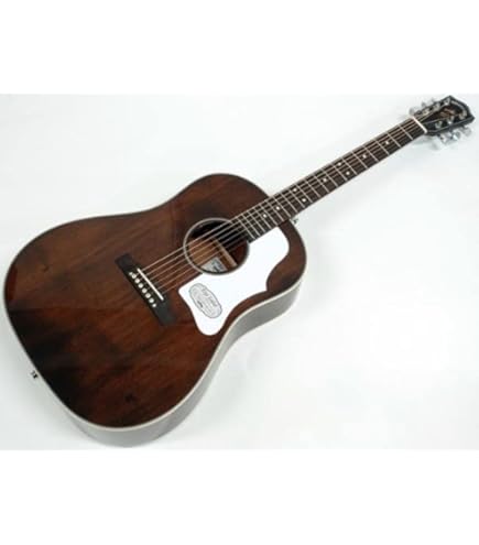 ⭐️美品Headway HJ-5080SE エレアコ GOTOHペグ 輸送用HC付 Amazon.co.jp: