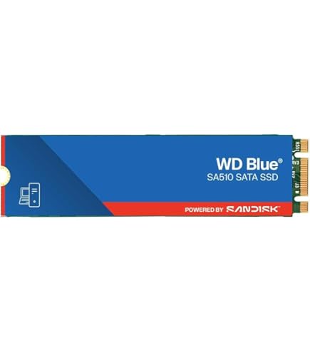 Amazon | WDS100T4B0E [WD Blue SN5000 NVMe SSD（1TB M.2(2280) PCIe