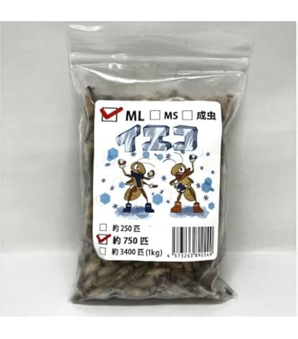 Amazon | GokiBank 冷凍コオロギ 100g 爬虫類・両生類・肉食魚用 冷凍