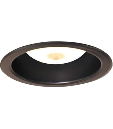 Amazon.co.jp: 大光電機（DAIKO） 人感センサー付ダウンライト