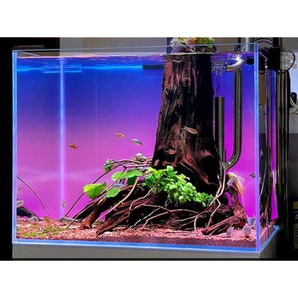 水槽カラーバックライトスクリーン60cm×45cmアクアリウムLED